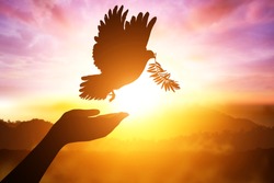 silhouette pigeon flying out of two hand and freedom concept and international day of peace 2017