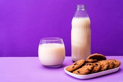 Glass bottle and large glass with milk and some sweet chocolate chip cookies in a purple or violet environment. Copy space.