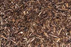 Wood chip bark chippings having been shredded for use as a garden mulch by the lumber timber industry which can be used as an abstract texture background, stock photo image