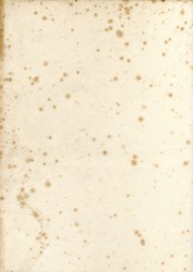 Old vintage early19th century textured paper with mildew foxing background