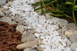 the use of natural materials in landscape design. Pine bark, white stones and pebbles as decoration of the green area in the city.