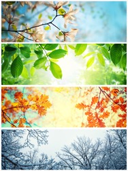 Four seasons. A pictures that shows four different pictures representing the four seasons: winter, spring, summer and autumn. 