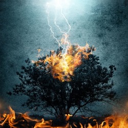 A lonely tree on fire after a lightning strike. The effect of overlay on the ancient texture of paper. Concept on theme of elements, forest fires, lightning, natural phenomena, religion, etc.