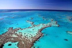 Magnificent colours in the Great Barrier Reef