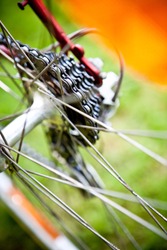 Rear racing bike cassette on the wheel with chain
