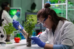 Biochemist researcher doctor dropping liquid in organic green sapling observing genetic mutation working at microbiology experiment in scientific laboratory. Genetically modified plants