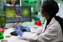 African american scientist researcher holding petri dish with vegan meet typing microbiology expertise on computer. Biologist working on plant-blased beef substitute in biology hospital laboratory