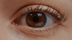 Woman with brown eye and eyelashes looking at camera. Human eye in extreme close up open with eyelid and natural skin showing retina, pupil and iris, blinking to focus sight. Healthy eyesight. Closeup