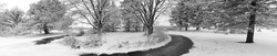 Snow covered circular driveway, rural, snow on evergreens and grass. Wide panorama scenic with trees and lawn. Copy Space.