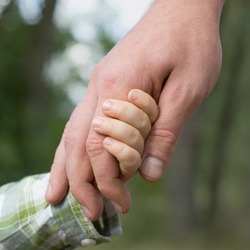family  father and child son hands nature outdoor