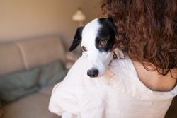 Sad adopted dog face peeking over the shoulder of the owner. Trust and care of your pet. Adorable black and white pet hugging owner curly hair young woman back. gratitude for taking care. Horizontal