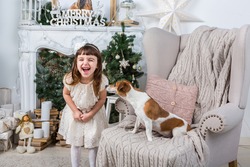 Little girl cheerfully laughs merrily, a dog sniffing curious child. Interior decoration Christmas holiday. Merry Christmas and Happy New Year. A series of photos
