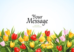 Flowers vector background with tulips