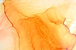 Abstract ocher ink watercolor background. Yellow orange brown paint stains and spots in water, luxury fluid liquid art wallpaper
