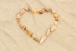 Heart of shells on sand at beach, symbol of love, summer time