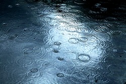 Raindrops falling on a lake surface