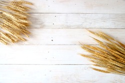 Wheat ears on rustic white wooden background
