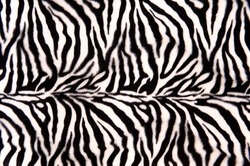 Horizontal striped zebra pattern with curves and lines