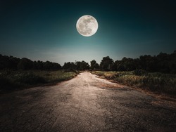 Landscape of night sky and bright full moon above wilderness area. Asphalt road leading into the forest at night. Serenity background. 