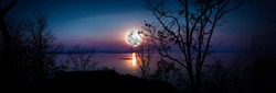 Panorama. Tree against sky over tranquil lake. Silhouettes of woods and beautiful moonrise, bright full moon would make a nice picture. Beauty of nature use as background. Outdoors.