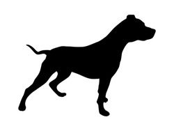 Pet pitbull / pit bull terrier dog or canine flat vector icon for animal apps and websites