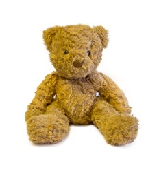 brown teddy bear isolated on white