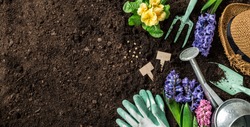 Gardening tools, hyacinth flowers, watering can and straw hat on soil background. Spring garden works concept. Horizontal layout with free text space captured from above (top view, flat lay).