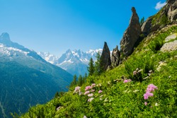 Aiguilette d Argentiere and Mont Blanc, Argentiere, France