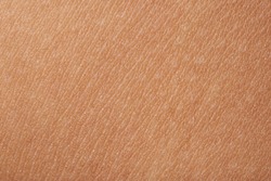 Macro of human skin with white dots. Human skin texture