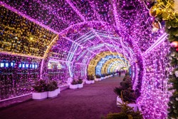 Moscow seasons Festival (Christmas trip). Light tunnel, Moscow, Russia. Happy New Year