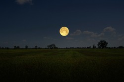 Bright full moon in blue sky over gold field
