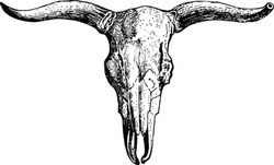 Old-time engraving of the Skull