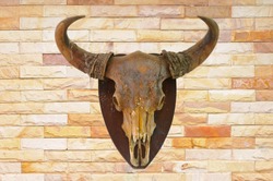 Cow skull on brick wall background