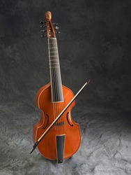 seven string bass viol