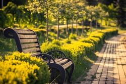 A bench in the alley in the park on a sunny day with a blurred background