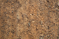 Ground floor texture close up depth of field,brown