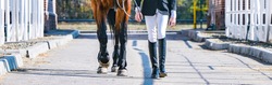 Beautiful girl and sorrel horse in jumping show, equestrian sports. Light-brown horse and girl in uniform going to jump. Horizontal web header or banner design.