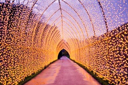 Christmas decoration in the park path. Colourful decor lights lantern tunnel in the evening  in the city during winter.