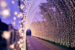Christmas decoration in the park path. Colourful decor lights lantern tunnel in the evening  in the city during winter -  blurred background, stars and  flowers lights in the city during winter.