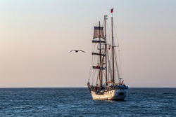 A seagull flying beside an antique tall ship, vessel leaving the harbor of The Hague, Scheveningen under a warm sunset and golden sky