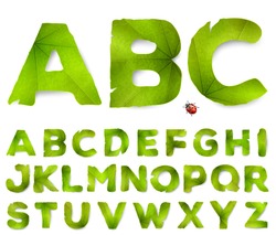 Vector alphabet letters made from green leaves, isolated on white