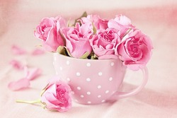 Beautiful fresh roses in a  cup on a pink background