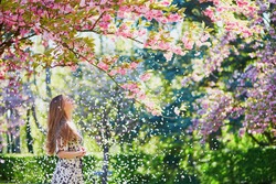 Beautiful girl in cherry blossom garden on a spring day, flower petals falling from the tree
