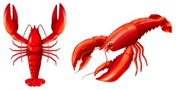 Set of red lobster illustration