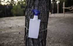 Disinfectant gel in forest, virus and covid, pandemic protection