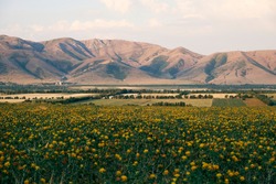 Kazakhstan steppes, nature landscape of nomads land