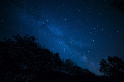 Amazingly peaceful photo of the milky way above silhouetted trees.