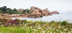 Beautiful panoramic view of Pink Granite Coast between Perros-Guirec and Ploumanach. Cliffs, blooming wild flowers, pine trees and  islands on horizon. Cotes-d'Armor, Brittany, France.