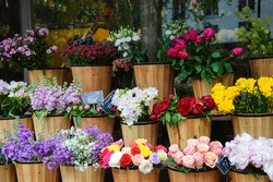 Colorful peony, roses and other flowers at the entry to flower shop in Paris (France). Selective focus.