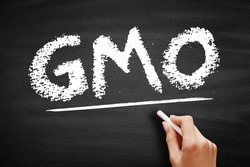 GMO - Genetically Modified Organism is any organism whose genetic material has been altered using genetic engineering techniques, acronym concept on blackboard
